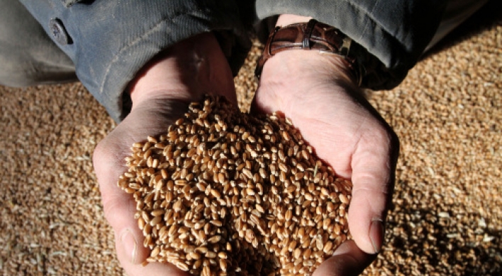Grain import prices soar 47% over 2 years