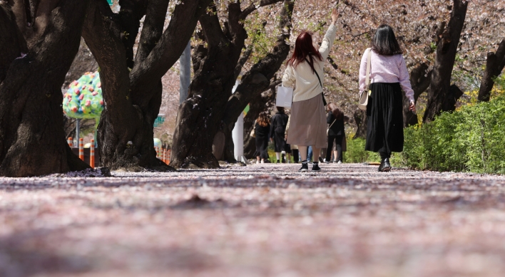 Cherry blossom street in Yeouido to welcome visitors this year but without festival