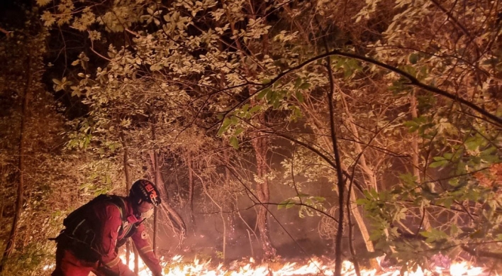 Miryang wildfire continues for 3rd day, nearly 650 ha of woodland scorched