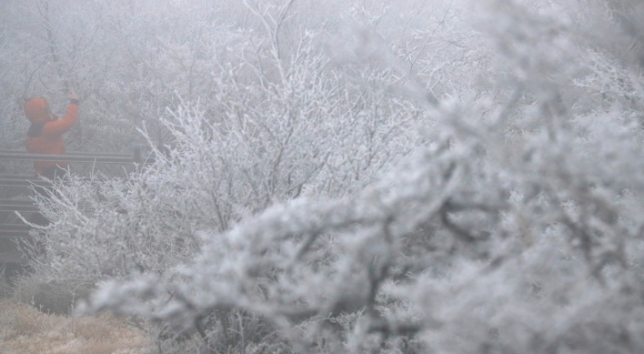 Korea under cold spell with first snow in several regions