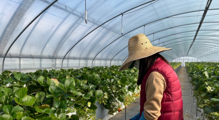 [New Neighbors] Going for broker: Farms struggle to keep seasonal foreign workers