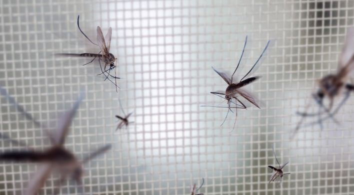 Number of mosquitoes in Korea's urban centers doubles