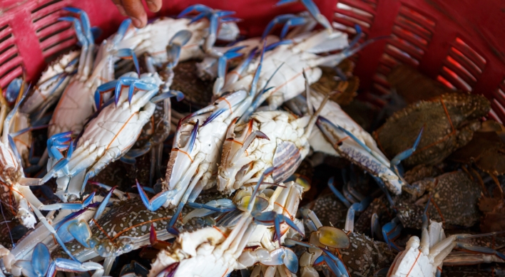 Italy's invasive blue crab has Korean seafood fans excited