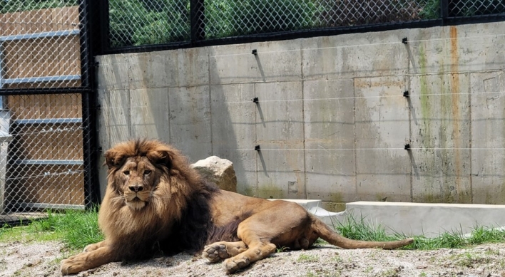 Requirements for zoo licenses set to be toughened