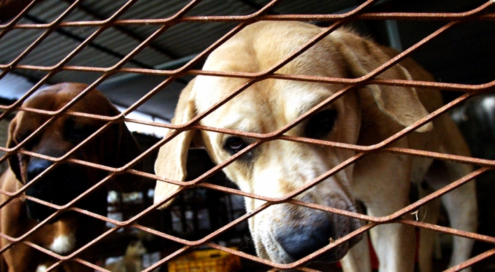 Law to ban dog meat takes effect