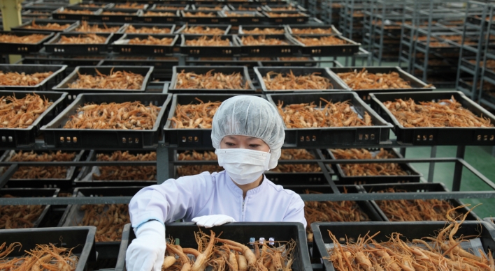 [From the scene] KGC's ginseng harvest season in full swing