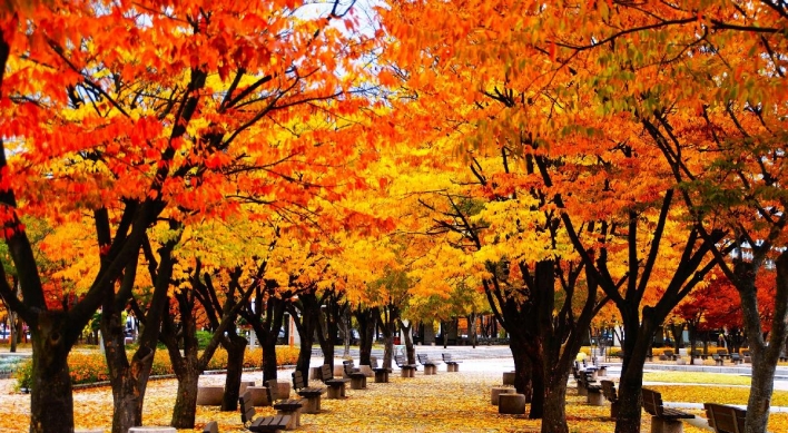 103 autumn foliage paths in Seoul