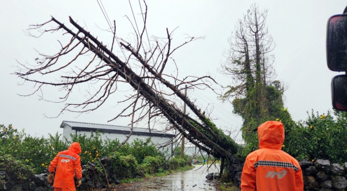 Heaviest November rain in 101 years drenches Jeju