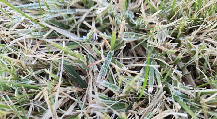 Season's first frost seen in Seoul, Daejeon