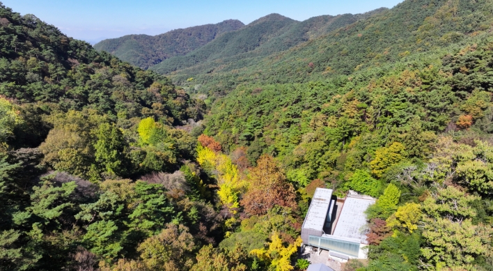 Hot weather has leaves turning later