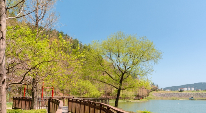 By tree color, Busan still holds on to summer