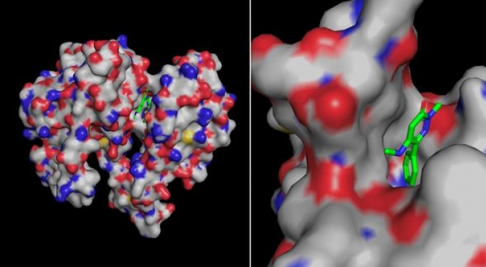 Daewoong develops drug candidate for oral obesity treatment