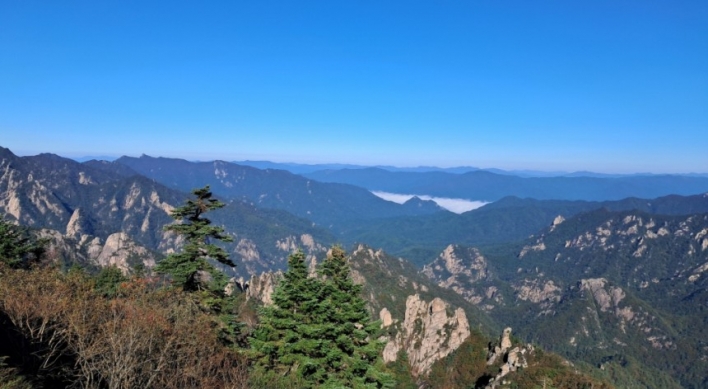 Nearly half of pines at Seoraksan face extinction due to global warming: study