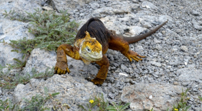 Following in Darwin’s footsteps in Galapagos visit