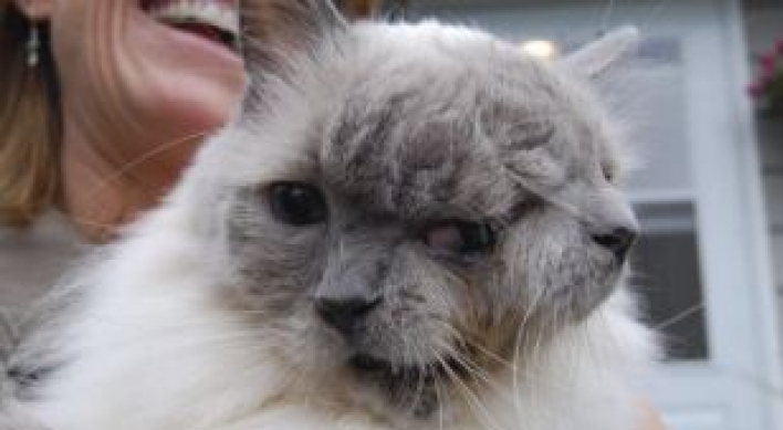 Meet the cat with two faces