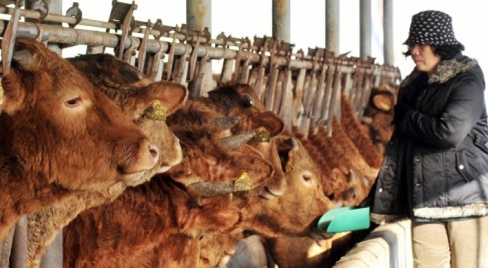 Farms hit hard by falling beef prices