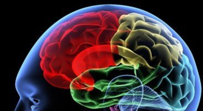 Brain size determine popularity: study