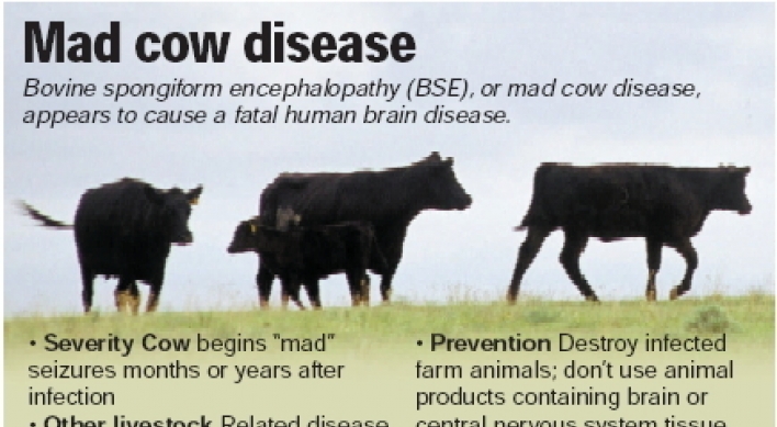 New questions raised about U.S. beef safety