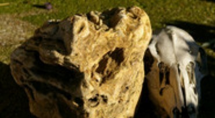 Missouri resident claims rock is alien skull