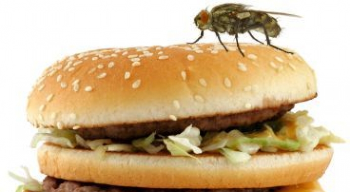 ‘Future menu may include insect burgers’