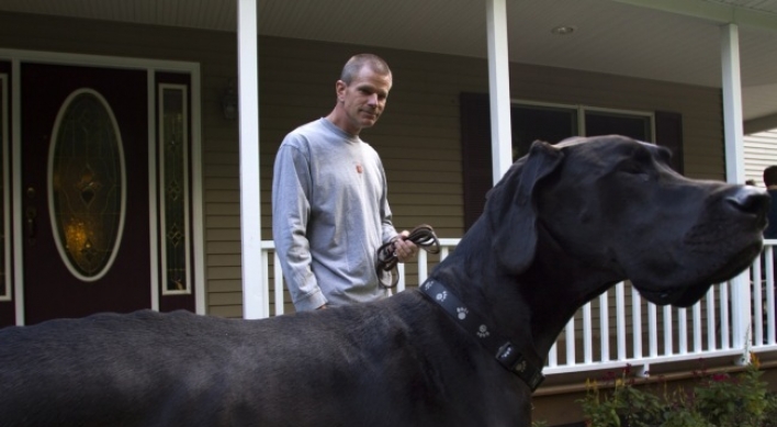 Great Dane is world’s tallest dog