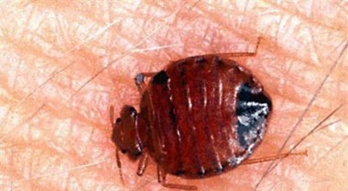Bedbugs no reason to skip library books