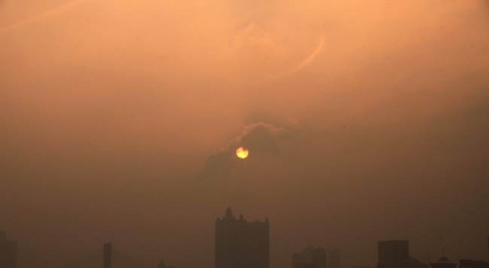 Smog causes surge in heart deaths: study