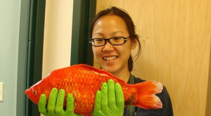 Giant goldfish found in Lake Tahoe