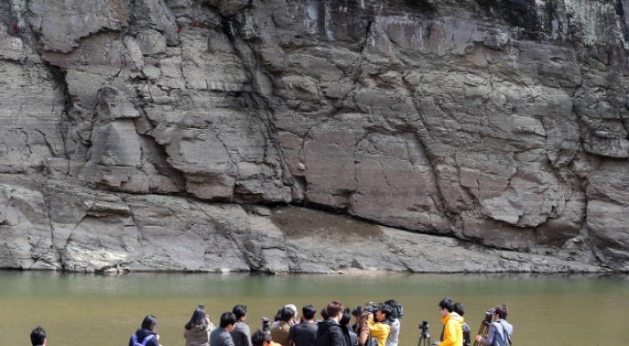 Culture officials call for preservation of Bangudae engravings in Ulsan