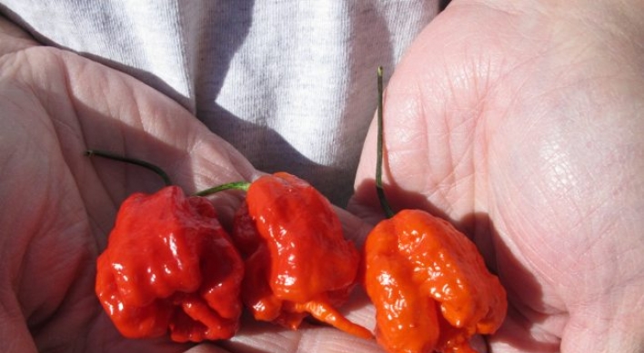World’s hottest pepper is grown in U.S.