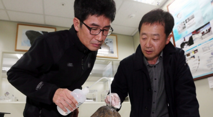 [Newsmaker] Rare meteorites spark gold rush in Jinju