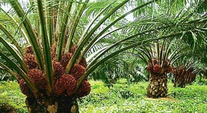 Addressing palm oil concerns in Malaysia