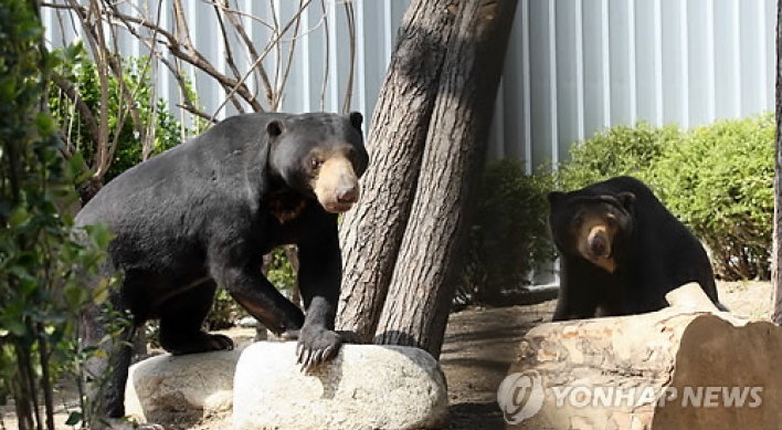 진주 동물원서 곰-사자 혈투 ... 죽은 동물은?