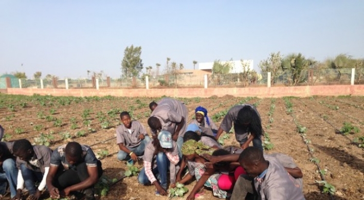 KOICA bolsters rural development in Senegal
