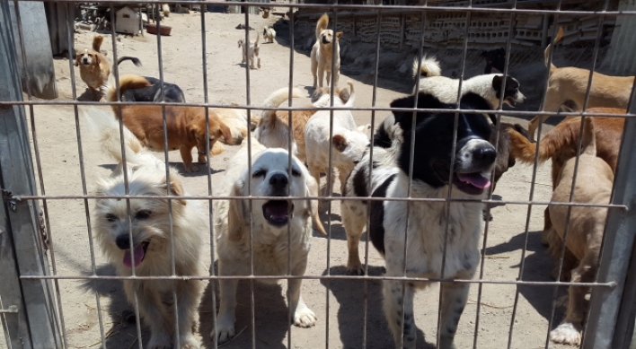 [Weekender] Why Koreans abandon so many dogs