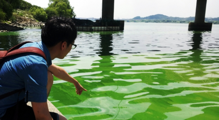 Hangang weir blamed as key culprit for green tide