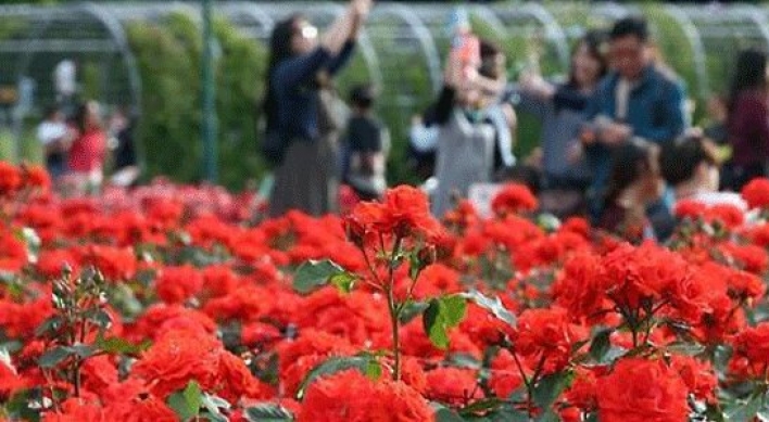 Largest rose festival to open in Ulsan