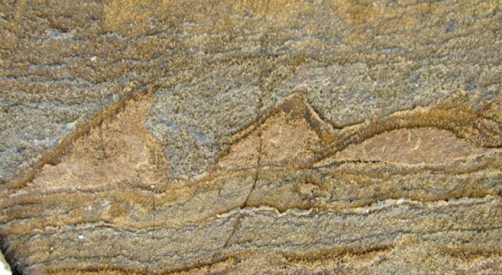 지구상 가장 오래된 37억년전 화석 그린란드서 발견