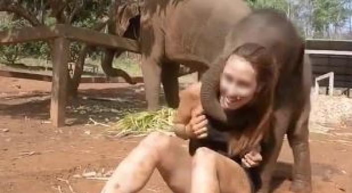 (영상) 女관광객 괴롭히는 ‘응큼한’ 코끼리