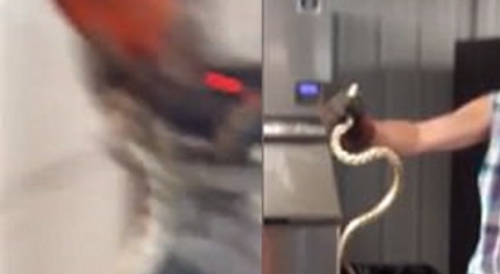 (영상) 자판기 눌렀는데 음료수 대신 뱀이 나와