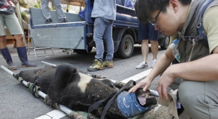 Activists, authorities clash over KM-53 bear
