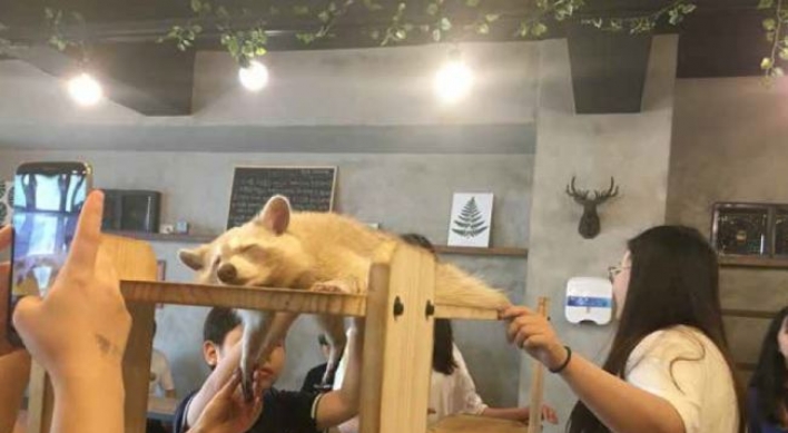 Activist group raises concern over wild animal cafes in Korea