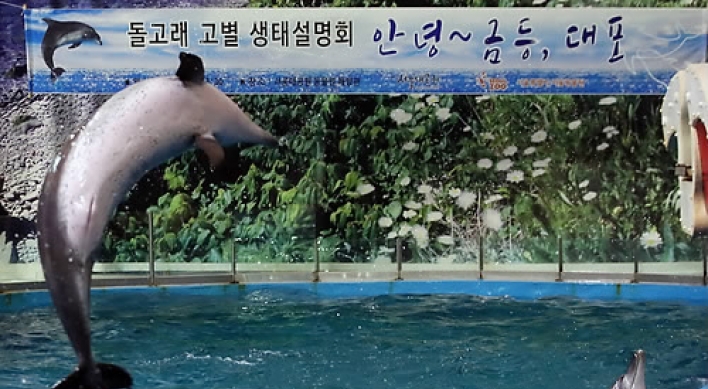Released Jeju dolphins leave no trace after summer