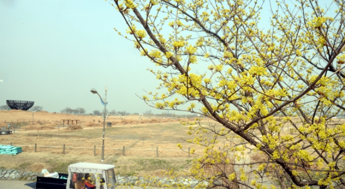 [Photo News] Spring blossoms covered in fine dust