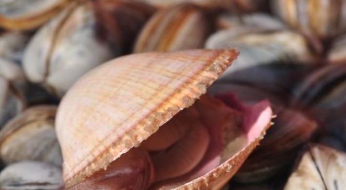 Govt. bans shellfish harvesting over paralytic toxins