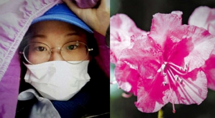 Missing woman ate azaleas in wilderness to survive