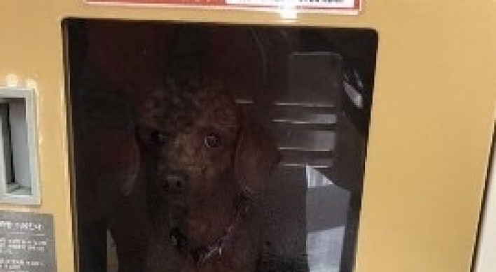 Abandoned dog in mart locker invites public fury