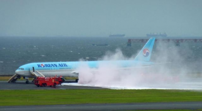 Korean Air plane makes forced landing from fire alarm