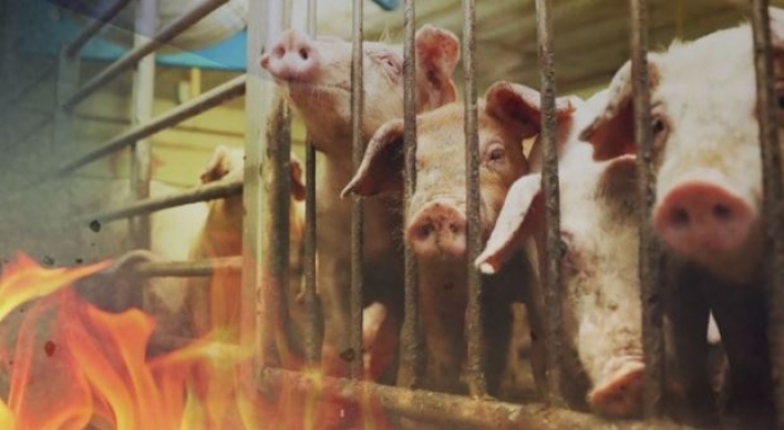 Paju farm fire causes death of 70 pigs