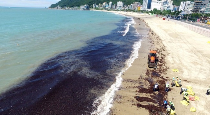 [Photo News] Korea begins big cleanup as Typhoon Prapiroon passes